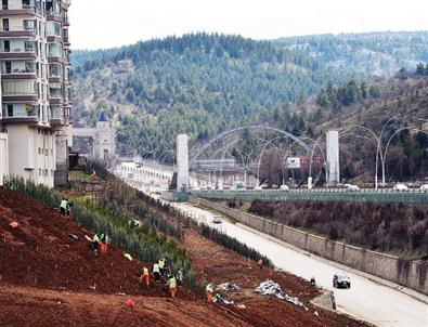 Başkent Ankara’ya 43 Bin Ağaç Daha Dikiliyor