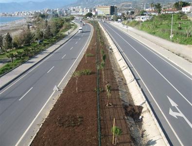 Alanya D-400 Karayolu Orta Refüjünde Düzenleme Çalışmaları Sürüyor