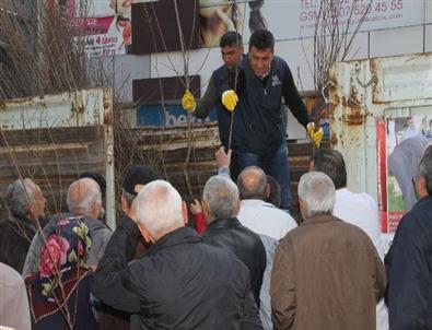 Gaziemir Belediye 3 Bin Fidan Dağıttı