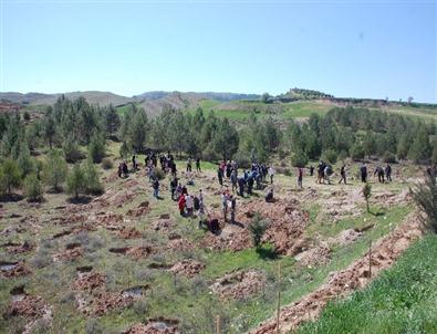 Gönül Elçilerinden Fidan Dikimi