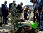 ÇANAKKALE ŞEHITLERI - ‘mersinli Çanakkale Şehitleri’ İçin Hatıra Ormanı Oluşturuldu
