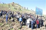 ŞIRNAK VALİSİ - Şırnak’ta 96 Bin Metrekarelik Hatıra Ormanına 9 Bin Fidan Dikildi