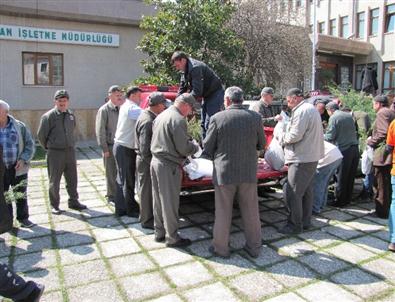 Vezirköprü'de 5 Bin Fidan Dağıtıldı