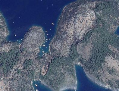 Dalaman’daki Koyların İhalesi Sorunsuz Olarak Tamamlandı