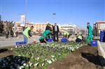 Erzincan Çiçek Açıyor