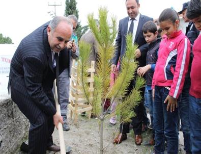 Gördes'te Orman Haftası Etkinlikleri