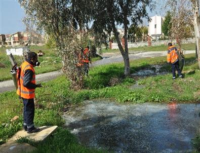 Kuşadası’nda Sivrinek ve Haşere İle Mücadele Çalışmaları