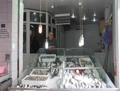 Sinoplu Balıkçılar Mart Ayından İstediğini Alamadı