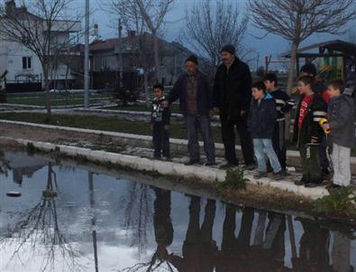 Cadde 'Göl”de Balık Tutmaya Çalıştılar