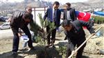 Hakkari’de Cumhurbaşkanı Erdoğan Hatıra Ormanı Açıldı