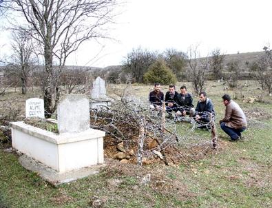 (özel Haber) Cenaze Avcısı Ayılara Türk İşi Çözüm