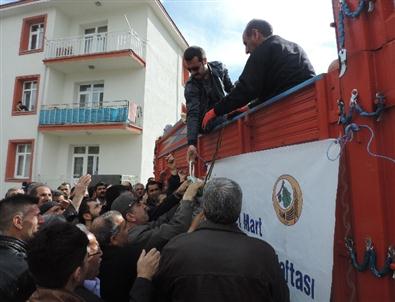 Bingöl’de 31 Bin Fidan Dağıtıldı