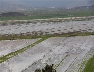 Bucak'ta Tarım Arazileri Sular Altında Kaldı