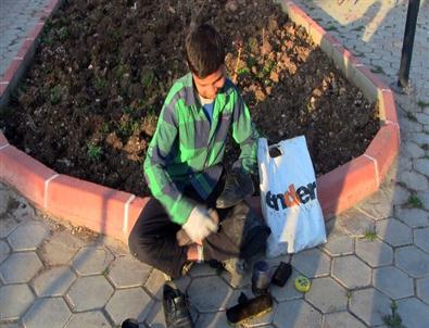 Boyacı Çocukların Dramı