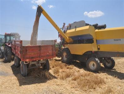 2 Bin 395 Çiftçiye 4 Milyon Lira Tarımsal Destek Verilecek