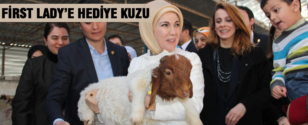 Cumhurbaşkanı Erdoğan'ın Eşi Emine Erdoğan, Şanlıurfa'da