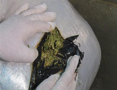 Dev Uyuşturucu Operasyonu