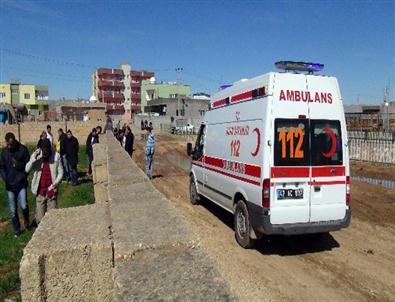 Kızıltepe’de 2-3 Aylık İki Cenin Bulundu