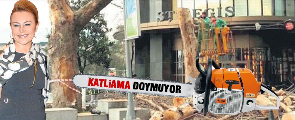 Ağaç katliamında ikinci perde