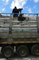 Gaziantepte 25 Bin Karton Kaçak Sigara Ele Geçirildi