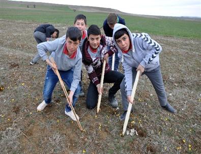 Sorgun’da Çiğdem Şenliği Düzenlendi