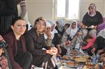 Kahta'da 8 Mart Dünya Kadınlar Günü Kutlandı