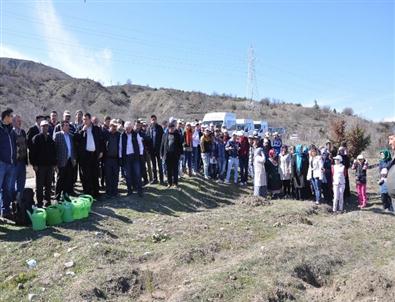 Koyulhisar’da Bin Fidan Toprakla Buluştu