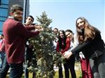 SİYAH KURDELE - Öğrenciler ‘kadına Şiddete Dur De’ Sloganıyla Fidan Dikti