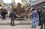 Bursa'dan Tunceli'ye 8 Bin Fidan