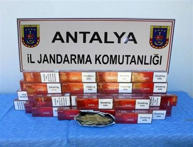 Çıtır'ın Görev Pozu