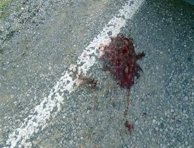 Erzincan’da Trafik Kazası Açıklaması