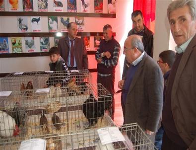 Lapseki’de Süs Tavukları ve Bahçe Hayvanları Yetiştiricileri Derneği Açıldı