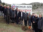 SENDİKA BAŞKANI - Elazığ’da Mehmet Akif İnan Hatıra Ormanı Oluşturuldu