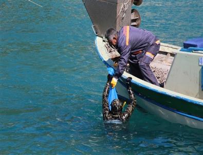Denizden Tonlarca Çöp Çıktı