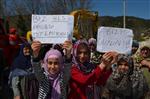 Sakarya’da Hes Protestosu