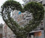 ISI YALITIMI - Cadde Avm’nin Birinci Etabı Tamamlandı