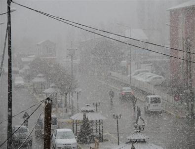 Muradiye’de Nisan Karı