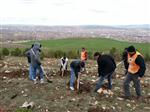 Sorgun Tema Vakfı 500 Fidan Dikti