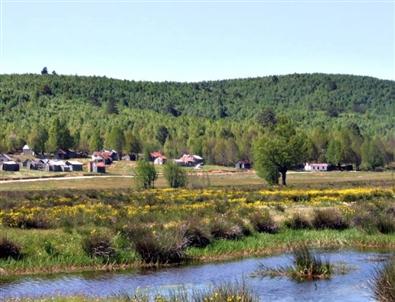 Yalova'da Tanıtım Hamlesi