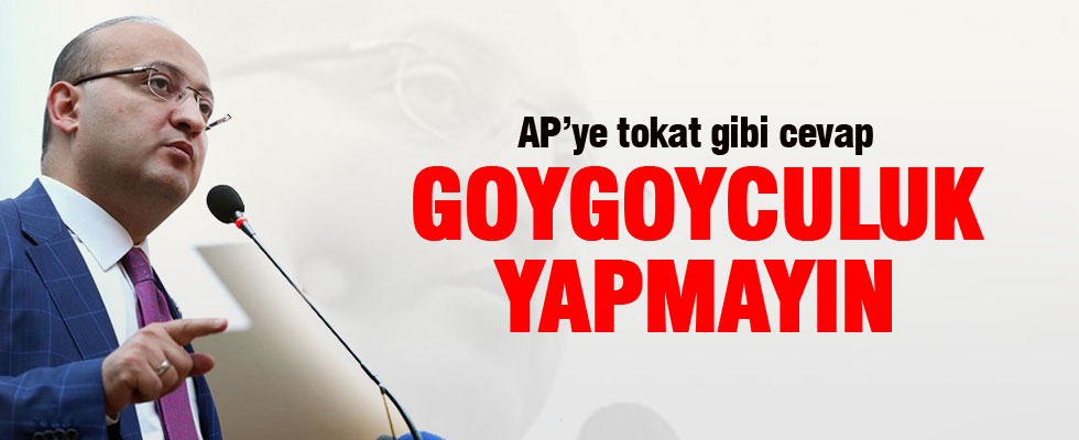 Akdoğan'dan AP'ye sert tepki