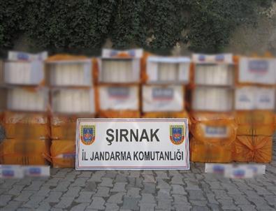 Şırnak'ta 566 Bin 930 Paket Kaçak Sigara Ele Geçirildi