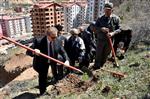 SARIKAMIŞ ŞEHİTLERİ - Gümüşhane Sarıkamış Şehitleri Ormanı Oluşturuldu