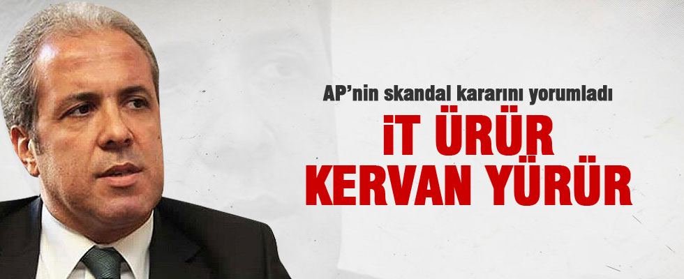 Şamil Tayyar: İt ürür, kervan yürür