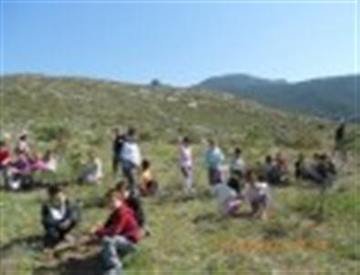 Doğa Yürüyüşü Yapan Minikler Uçurtma Uçurup Fidan Diktiler