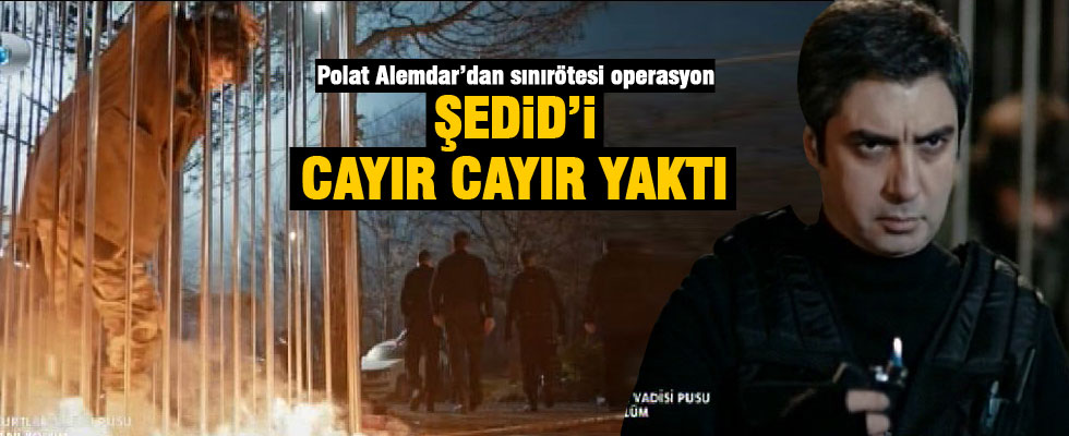 Polat Alemdar'dan sınırötesi operasyon