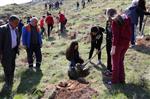 Yeşilyurt Mahallesi’ne Öğrencilerin Katılımı İle 500 Adet Çam Fidanı Dikildi
