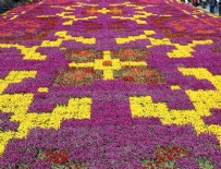 AYASOFYA MÜZESI - Sultanahmet Meydanı'na 545 bin laleden halı motifi