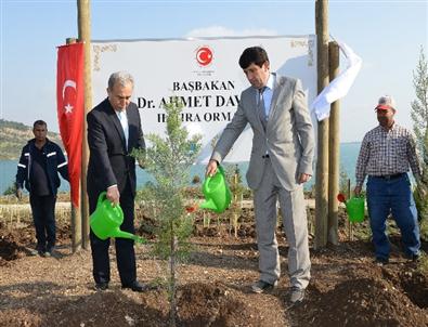 Başbakan Davutoğlu Adına Hatıra Ormanı