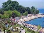 AYDINLATMA DİREĞİ - Fatsa Sahil Parkı, Büyükşehir Desteğiyle Yenilenecek