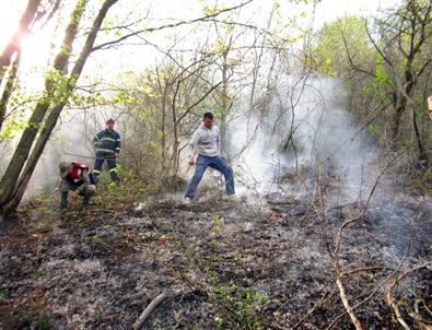 Ordu'da Orman Yangını